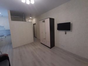 Квартира-студия: Санкт-Петербург, улица Севастьянова, 1к2 (27 м²)