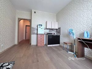 Квартира-студия: Шушары, Школьная улица, 17 (22 м²)