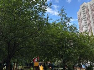 3-комнатная квартира: Москва, улица Академика Пилюгина, 14к4 (77.2 м²)