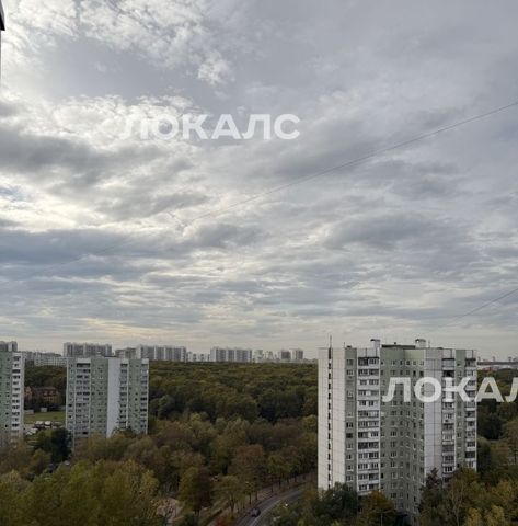 Сдается 1к квартира на Белозерская улица, 5, метро Бибирево, г. Москва