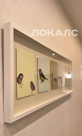 Сдаю однокомнатную квартиру на г Москва, ул Бориса Галушкина, д 18, метро ВДНХ, г. Москва