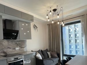 1 комнатная квартира Дмитровский 1-й