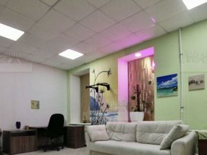 Студия Санкт-Петербург ул. Писарева, 18 (45.0 м²)