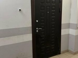 Квартира-студия: Санкт-Петербург, Русановская улица, 9 (26.5 м²)
