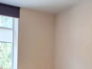 Студия Москва Рябиновая ул., 45К2 (18.0 м²)