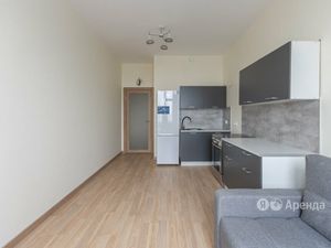 1-комнатная квартира: Москва, Каширский проезд, 25к1 (42 м²)