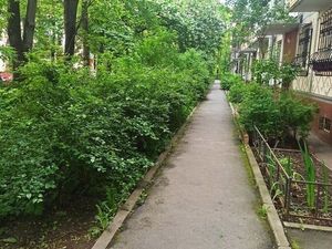 2-комнатная квартира: Санкт-Петербург, проспект Космонавтов, 30к2 (50 м²)