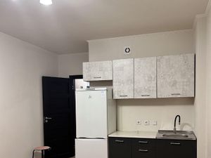 Студия Санкт-Петербург просп. Ветеранов, 169к2 (25.0 м²)