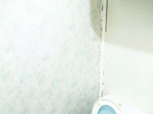 1-к кв. Москва Полесский проезд, 6К2 (30.1 м²)