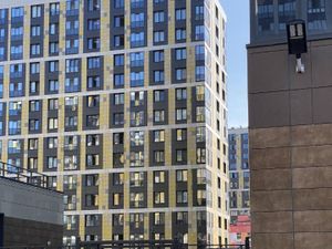 Студия Санкт-Петербург ул. Ультрамариновая, 8 (24.4 м²)