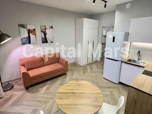 1-комнатная квартира: Санкт-Петербург, Лесной проспект, 23А (25 м²)