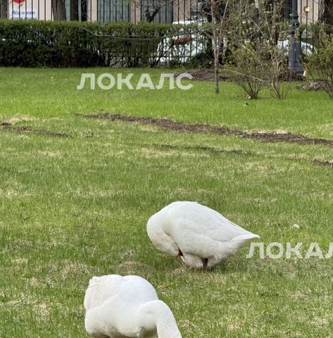 Снять 1-комнатную квартиру на Большая Филевская улица, 3к3, метро Фили, г. Москва