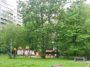 1-к кв. Санкт-Петербург Малая Карпатская ул., 17 (38.0 м²)