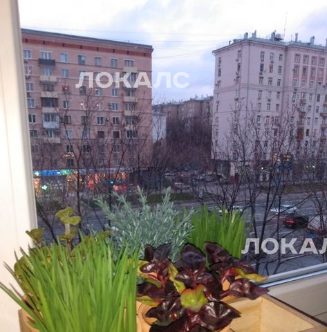Сдам 2к квартиру на Кутузовский проспект, 9К1, метро Киевская, г. Москва