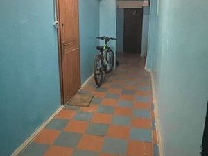 2-комнатная квартира: Санкт-Петербург, Индустриальный проспект, 10к1 (53.3 м²)