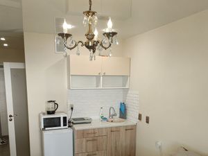 Студия Новосибирская область, Новосибирск ул. Фадеева, 66/2 (22.0 м²)
