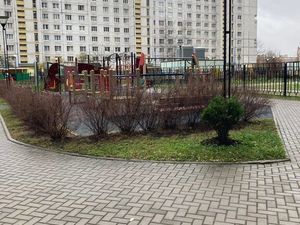 1-комнатная квартира: Санкт-Петербург, Московский проспект (57 м²)