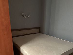 Однушка Шокальского