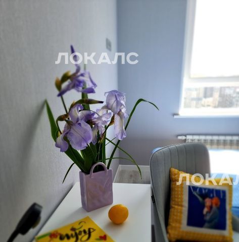 Сдаю двухкомнатную квартиру на Волоколамское шоссе, 71/22к3, метро Тушинская, г. Москва