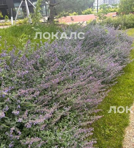 Сдаю 3к квартиру на Волоколамское шоссе, 71/22к2, метро Тушинская, г. Москва