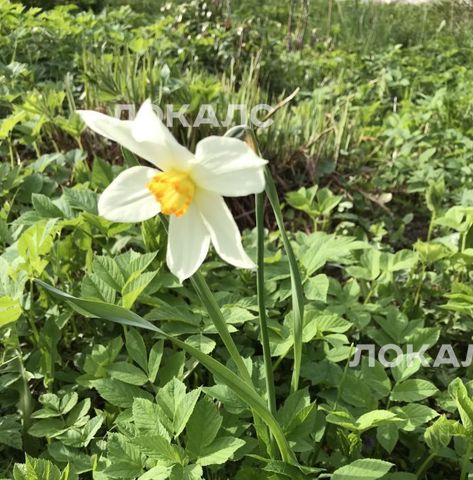 Сдам трехкомнатную квартиру на улица Алымова, 3, метро Преображенская площадь, г. Москва