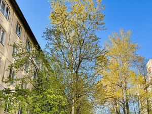 1-к кв. Санкт-Петербург ул. Бабушкина, 115к5 (30.3 м²)