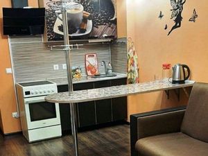Студия Санкт-Петербург просп. Ветеранов, 171к5 (25.0 м²)