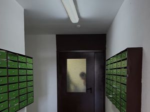 Студия Санкт-Петербург просп. Ветеранов, 169к2 (23.4 м²)