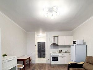 Студия Санкт-Петербург пос. Шушары, просп. Новгородский, 2к3 (25.0 м²)