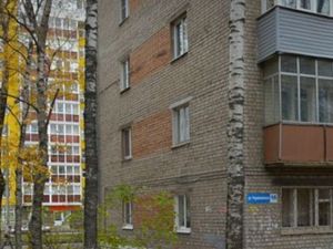 2-к кв. Нижегородская область, Нижний Новгород ул. Черняховского, 16 (42.0 м²)