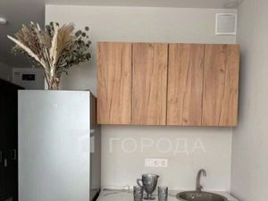 Студия Новосибирская область, Новосибирск ул. Кирова, 113/2 (30.0 м²)