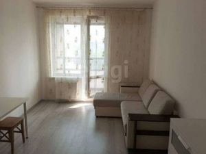 Квартира-студия: Санкт-Петербург, Светлановский проспект, 8 (30 м²)