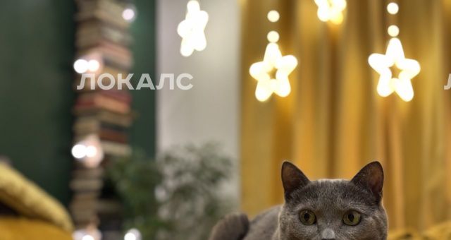 Аренда однокомнатной квартиры на Красногвардейский бульвар, 7, метро Улица 1905 года, г. Москва