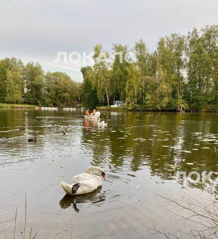 Сдается 1-к квартира на улица Уточкина, 7к2, метро Бунинская аллея, г. Москва