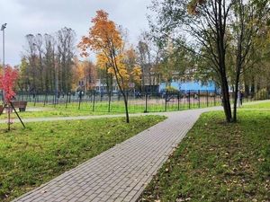 1-комнатная квартира: Санкт-Петербург, проспект Просвещения, 104 (31 м²)