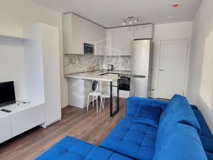 Квартира-студия: Санкт-Петербург, Муринская дорога, 29 (23 м²)