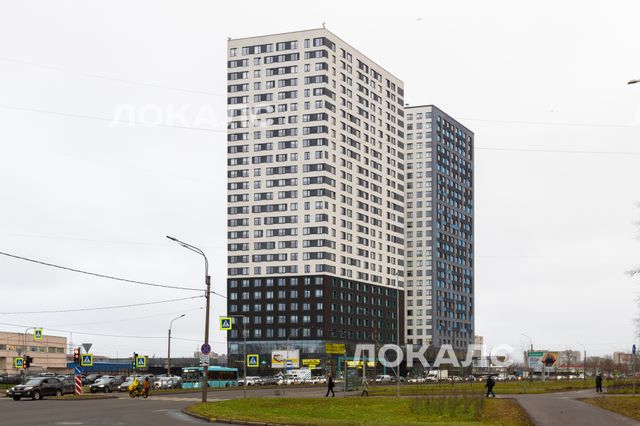 Сдается однокомнатная квартира на г Санкт-Петербург, ул Орджоникидзе, д 44а стр 1, метро Звёздная, г. Санкт-Петербург