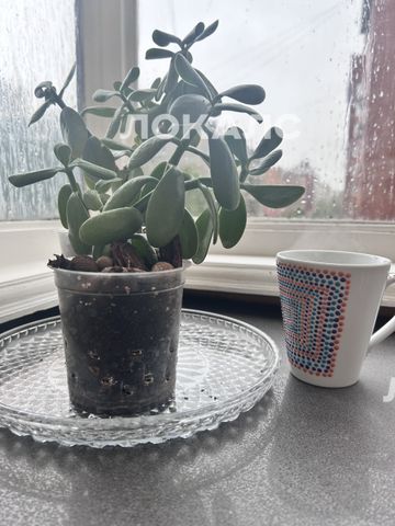 Снять 2к квартиру на г Москва, ул Малая Грузинская, д 12, метро Улица 1905 года, г. Москва