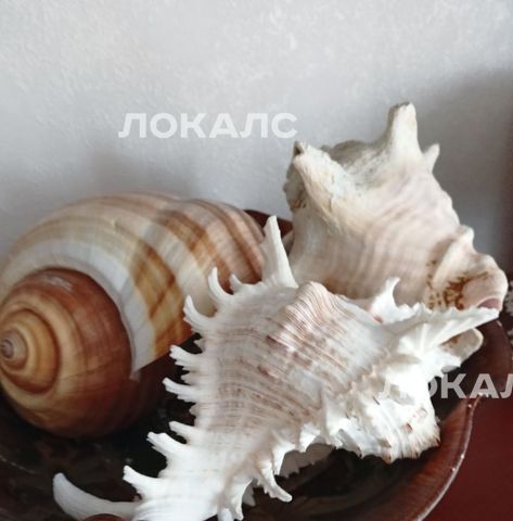 Сдам 1к квартиру на Ростовская набережная, 3, метро Смоленская (Арбатско-Покровская линия), г. Москва