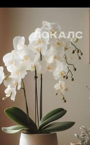 Сдаю 3-к квартиру на Смоленский бульвар, 6-8, метро Киевская, г. Москва