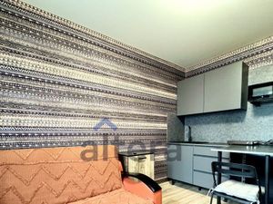 Студия Татарстан, Казань ул. Четаева, 58 (15.0 м²)