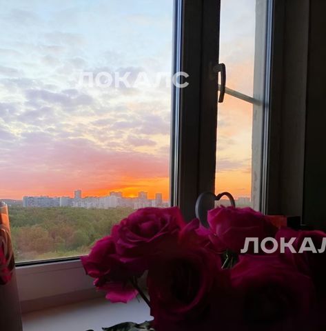 Сдам 1к квартиру на Череповецкая улица, 8, метро Алтуфьево, г. Москва