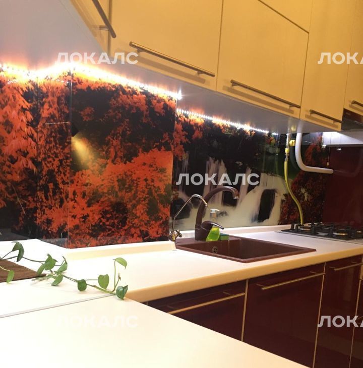 Сдам трехкомнатную квартиру на Чертановская улица, 49К2, метро Пражская, г. Москва