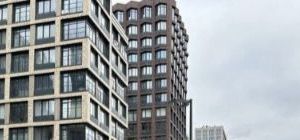 Трешка на метро Коломенская