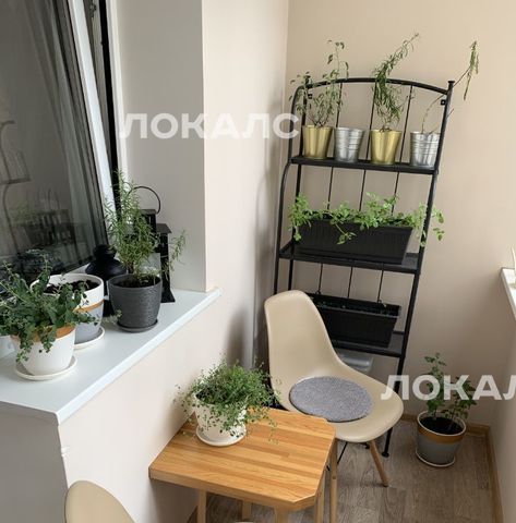 Сдаю 2к квартиру на улица Удальцова, 85К1, метро Раменки, г. Москва