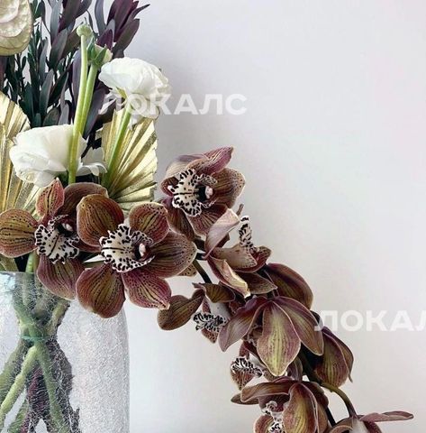 Аренда 2х-комнатной квартиры на Новохохловская улица, 15к3, метро Нижегородская, г. Москва