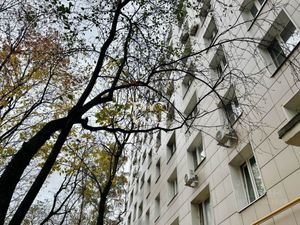 1 комнатная квартира