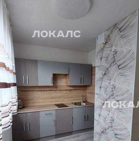 Сдам 1-к квартиру на Новокосинская улица, 10К1, метро Улица Дмитриевского, г. Москва