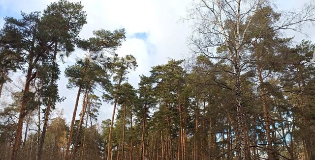 Сдается 2-к квартира на Осенняя улица, 16, метро Кунцевская, г. Москва