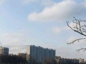 2-к кв. Москва Камчатская ул., 3 (50.0 м²)